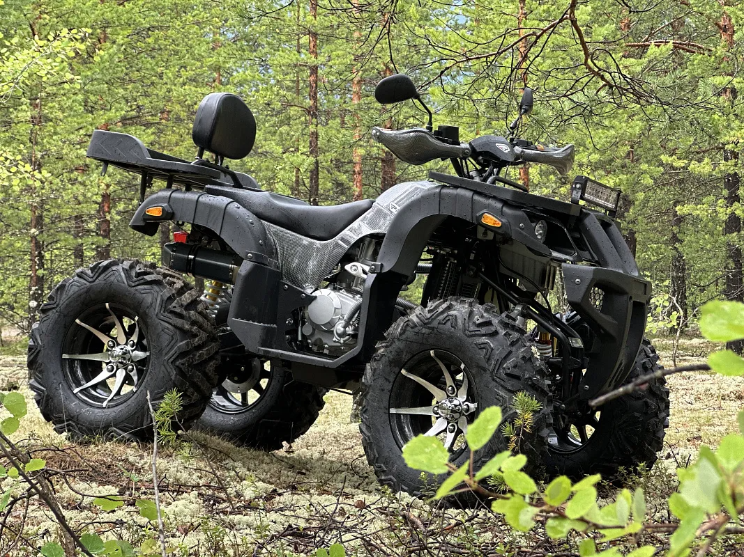 PROMAX 320 DOMINATOR (2025)